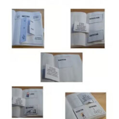 French Irregular verbs Interactive Notebook