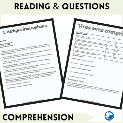 Francophone Africa French Comprehensible Input Lesson - Image 3