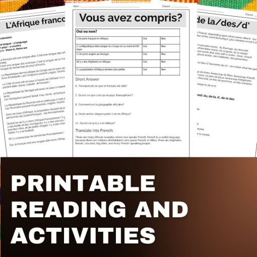 Francophone Africa French Comprehensible Input Lesson