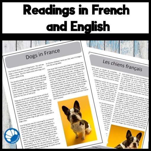 Pets in France French reading activity unit