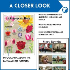 Alternative view of French Valentine's Day short story
