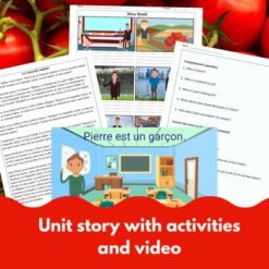Level 1 French Comprehensible Input Units 1-8 bundle