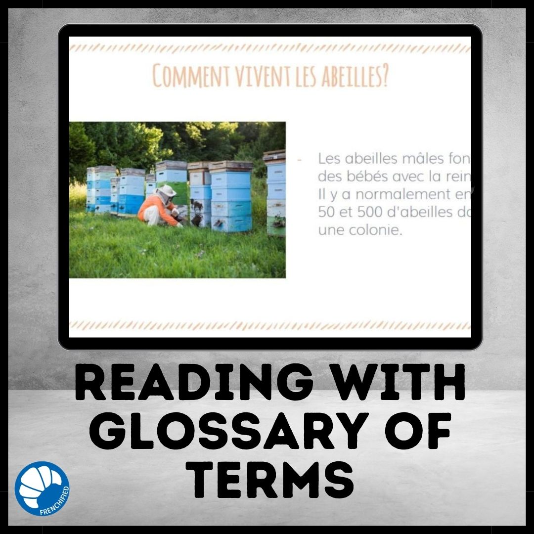 Alternative view of Les abeilles French reading comprehension activity printable & Google drive