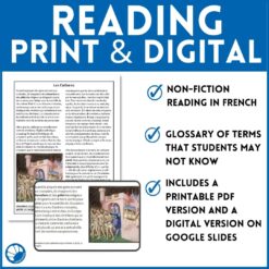 The Cathars French reading comprehension activity