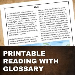 Alternative view of Haiti French reading activity