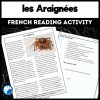 Spiders French reading activity