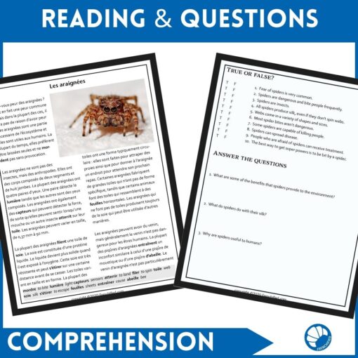 Spiders French reading activity - Image 3