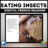 Manger les Insectes French reading