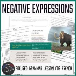 French negative expressions