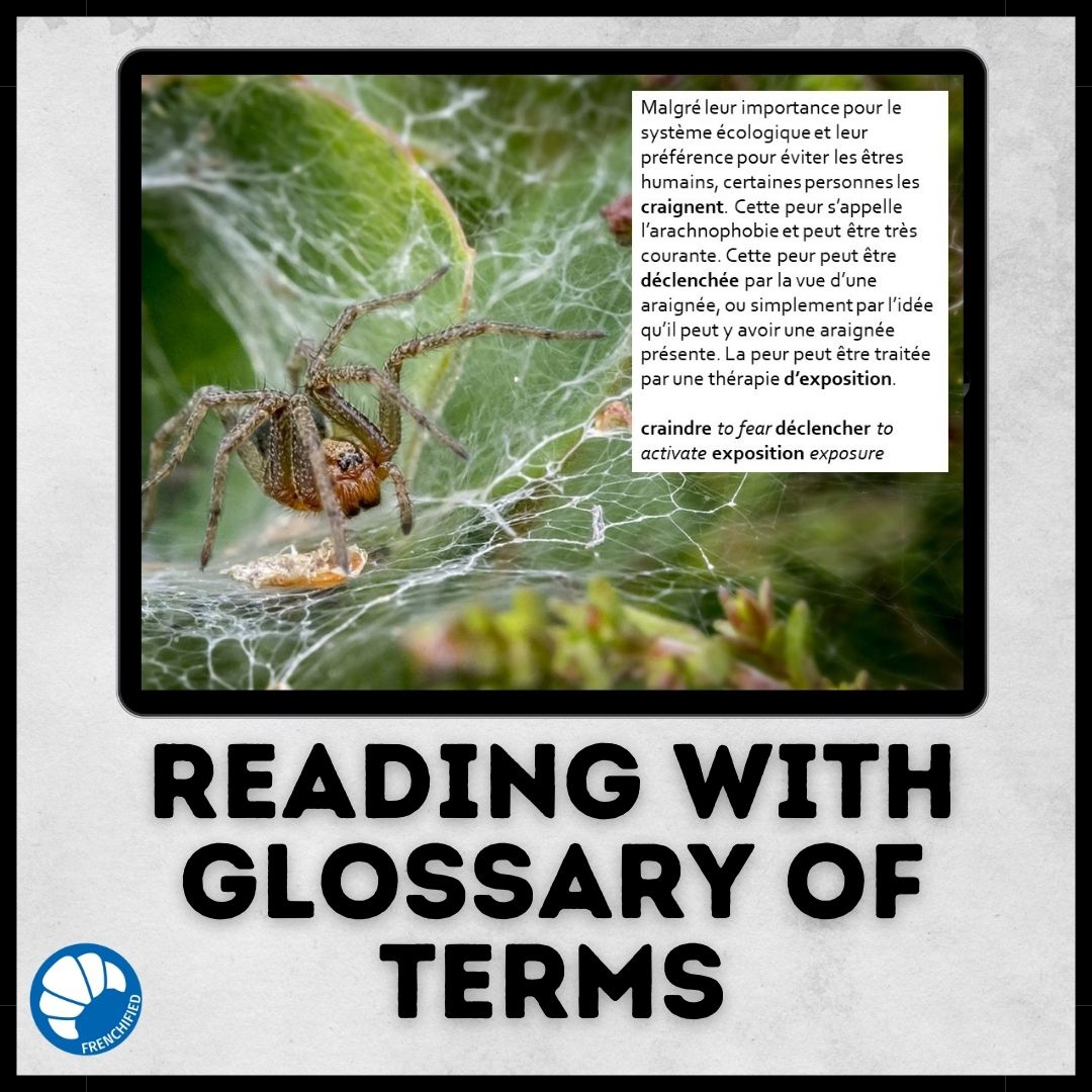 Alternative view of Spiders French reading for Google™ drive