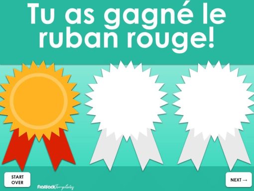 French IR verb conjugation digital game