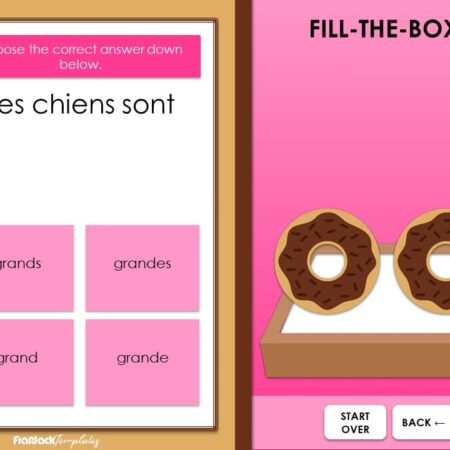 French adjective agreement digital game