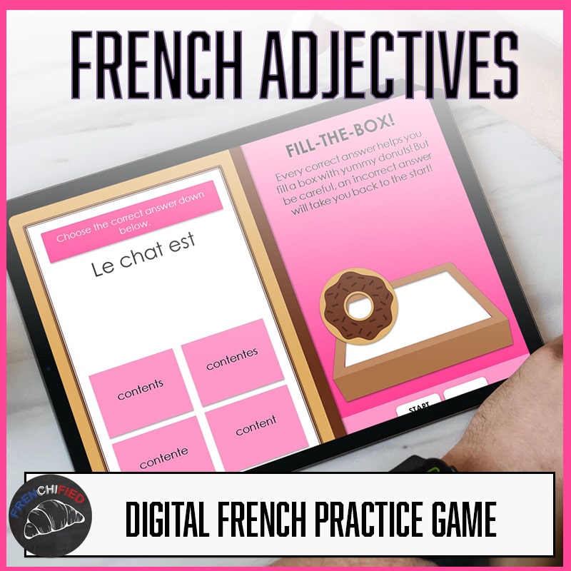 French adjective agreement