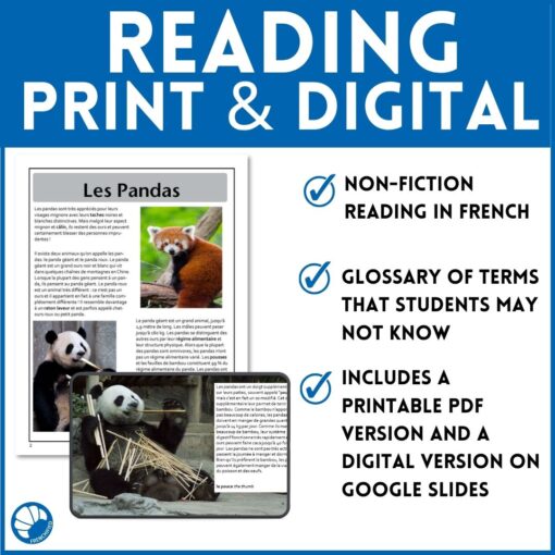 Pandas French reading comprehension activity - Image 4