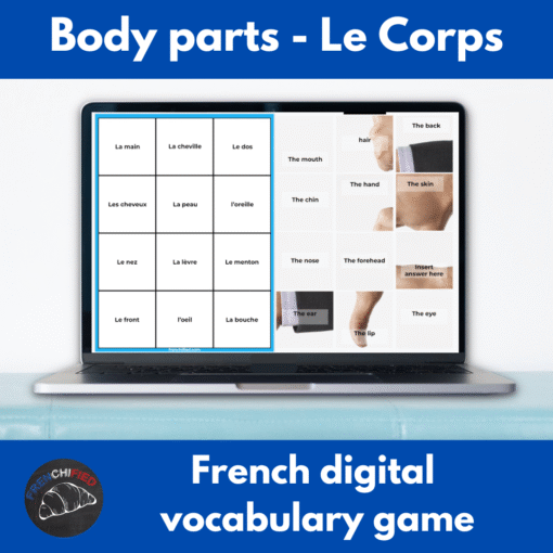 French body parts vocabulary