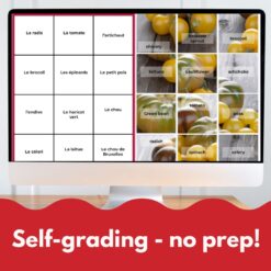 Alternative view of French vegetables vocabulary digital game