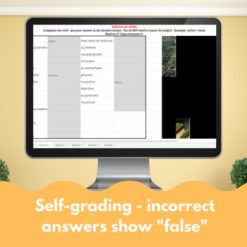 French imparfait verbs - Hidden pictures game