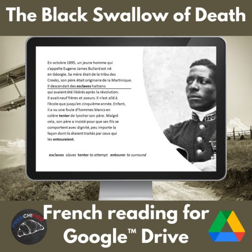 The Black Swallow of Death French reading activity