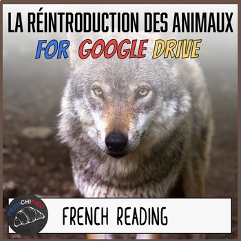La réintroduction des animaux French reading activity for Google Drive