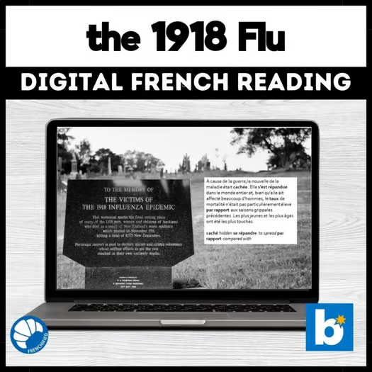 Alternative view of 1918 Flu French reading comprehension activity for Boom Cards™