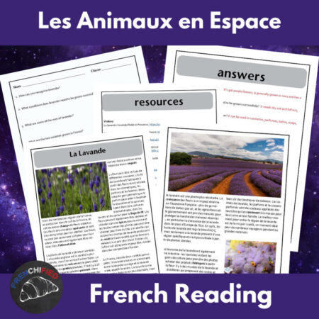 Animals in Space French reading