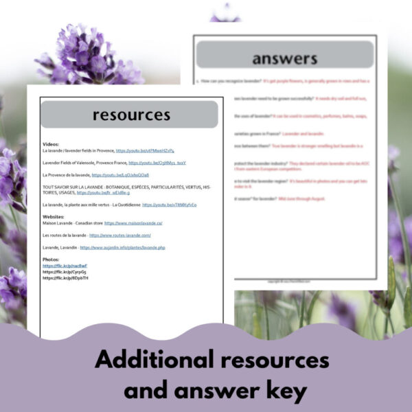 Lavender French reading comprehension activity