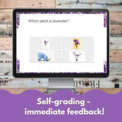 Lavender French reading comprehension activity Boom™ cards version