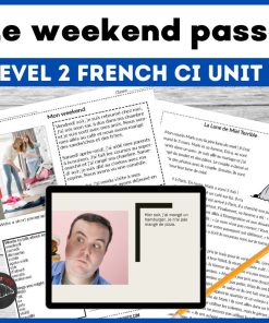 French level 2 comprehensible input unit 3