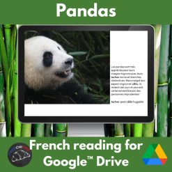 Pandas French reading activity for Google