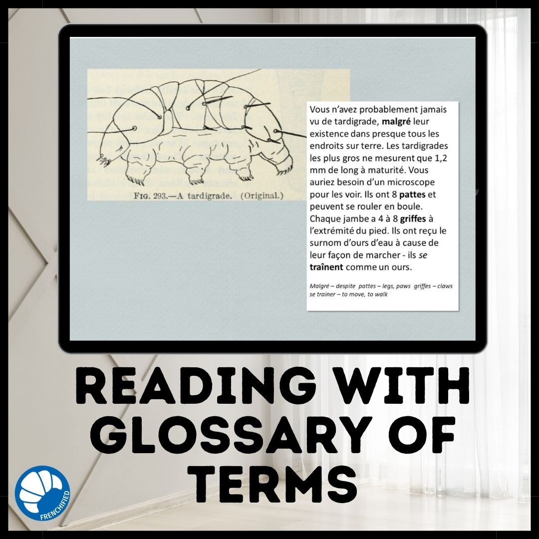 Alternative view of Les tardigrades French reading activity for Google™ drive