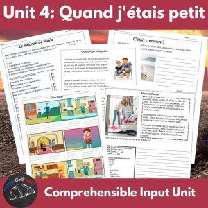 French level 2 Comprehensible Input unit 4