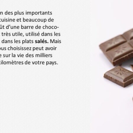 La Guerre du Chocolat French reading activity for Google™ drive