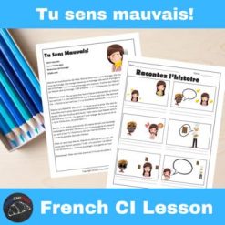 Tu Sens Mauvais French Comprehensible Input Lesson