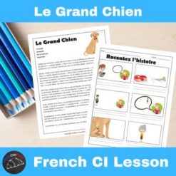 Grand Chien French Comprehensible Input Lesson