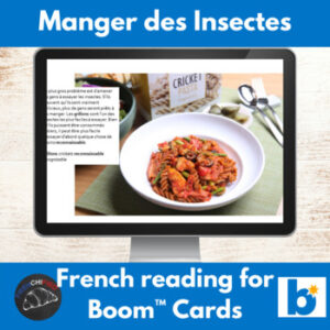 Eating insects French reading activity