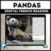 Pandas French reading activity for Google
