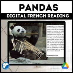 Pandas French reading activity for Google