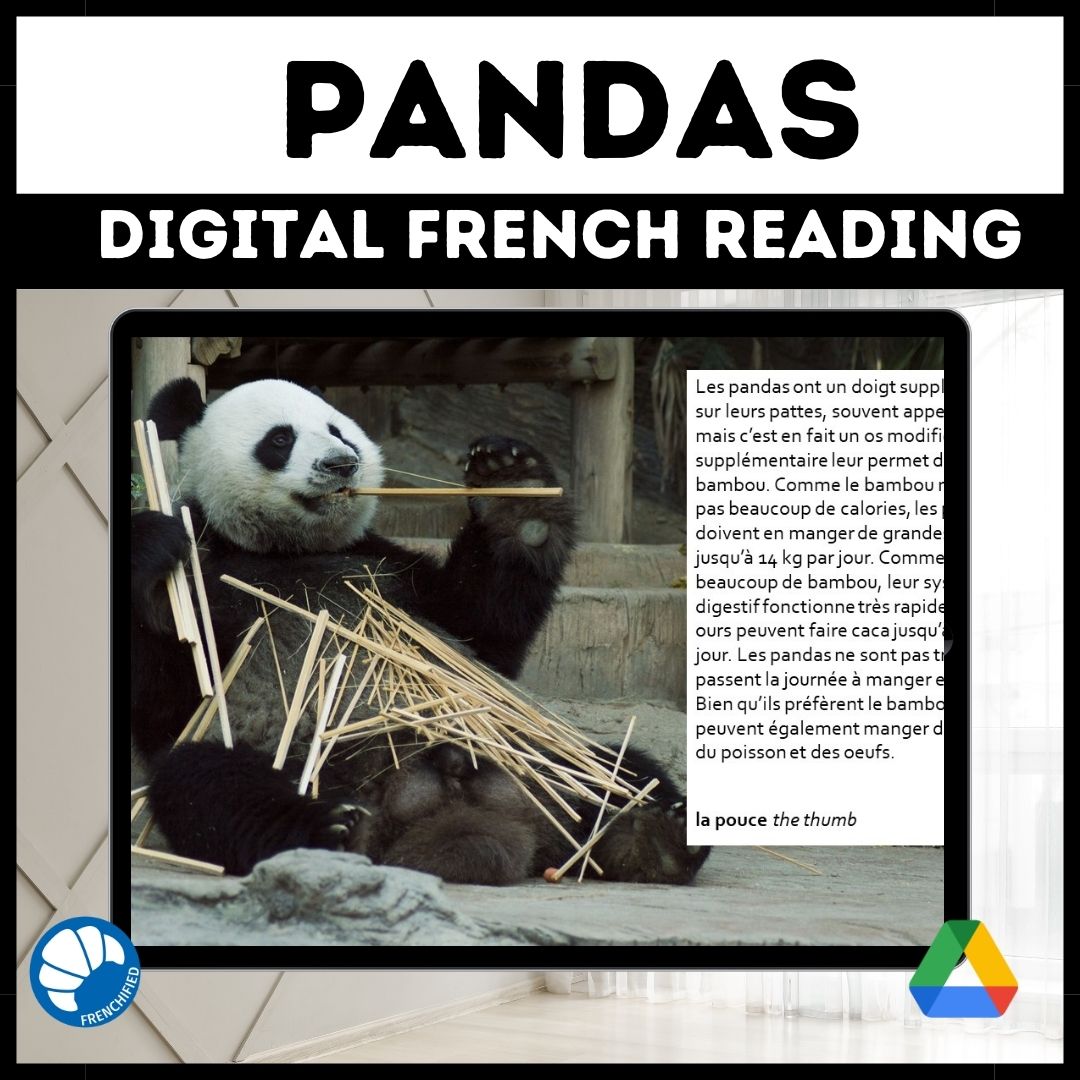 Pandas French reading activity for Google™ Drive 1 Pandas French reading activity for Google