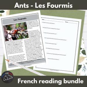 Ants French reading