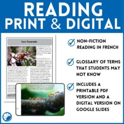 Ants French reading comprehension activity