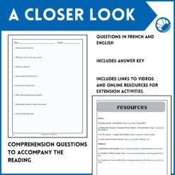 Ants French reading comprehension activity