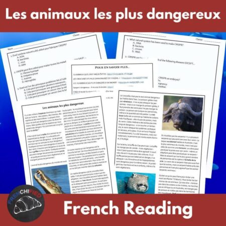 Dangerous animals French reading activity
