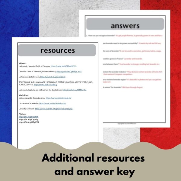 2017 French Presidential Election French reading comprehension activity