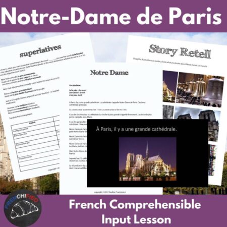 Notre Dame French Comprehensible Input Lesson
