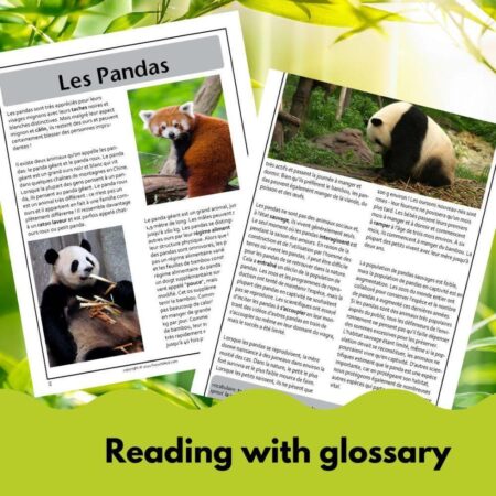Pandas French reading comprehension activity