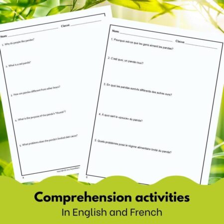 Pandas French reading comprehension activity