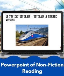 The TGV French Comprehensible Input Lesson