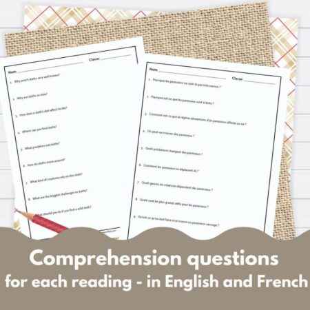 Sloths French reading comprehension activity