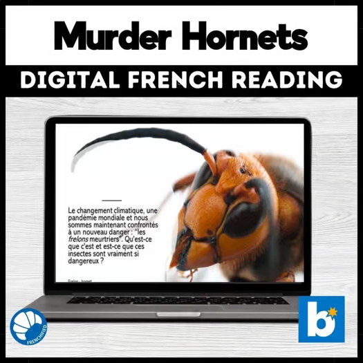Murder Hornets French reading activity for Boom Cards™