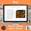 Abeilles French reading